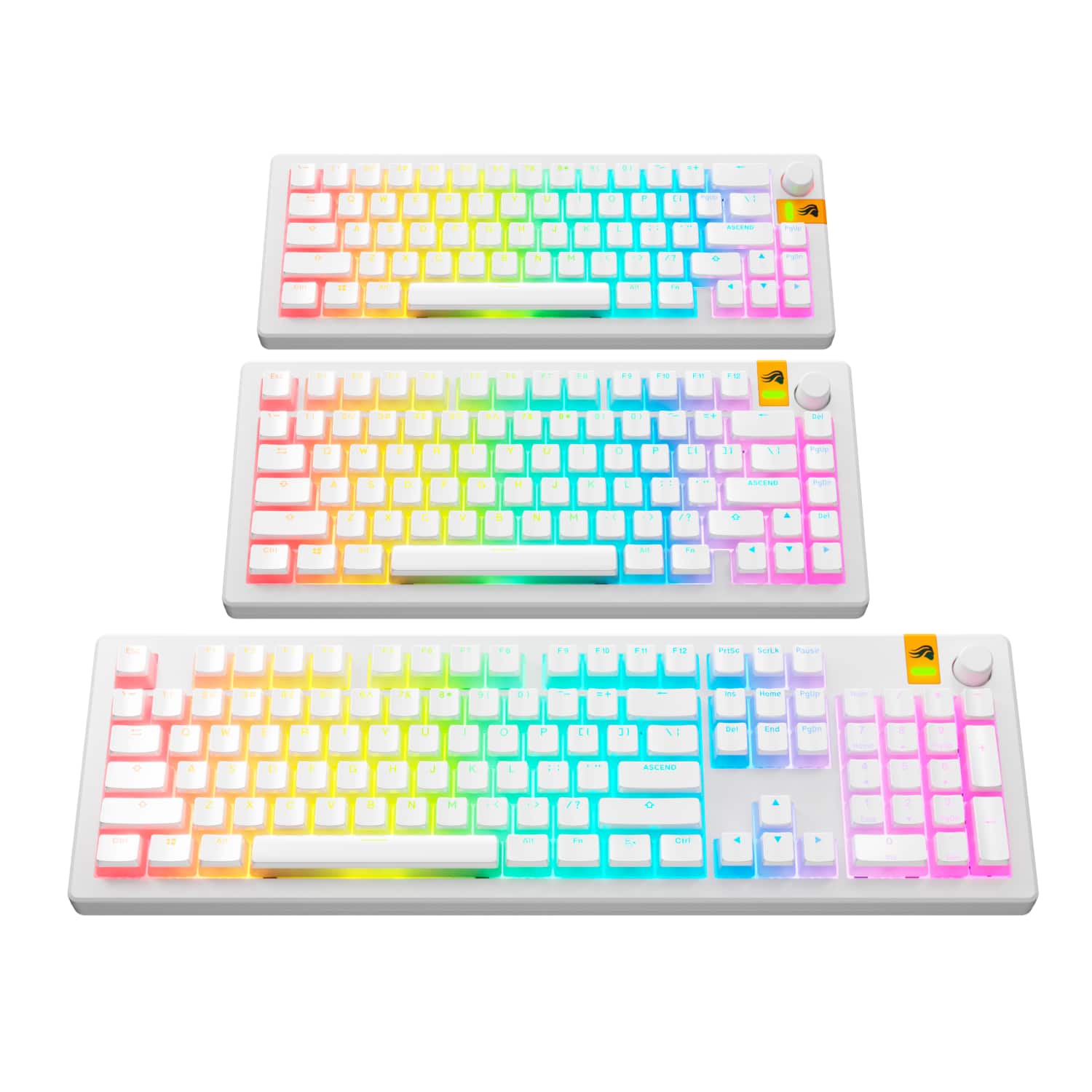 The image features two white keyboards, each with a different color scheme. The first keyboard has a rainbow color scheme, while the second keyboard has a pink and white color scheme. Both keyboards are placed side by side, showcasing their unique designs. The image also includes a close-up view of the rainbow keyboard, allowing for a detailed look at its colorful keys.