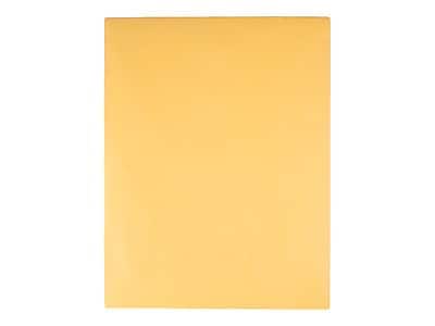 "Quality Park - ClearClasp Redi-Tac Kraft Catalog Envelopes, 10"" x 13"", 100/Box (QUA43768) - Brown Kraft" price history on PriceWatchPro