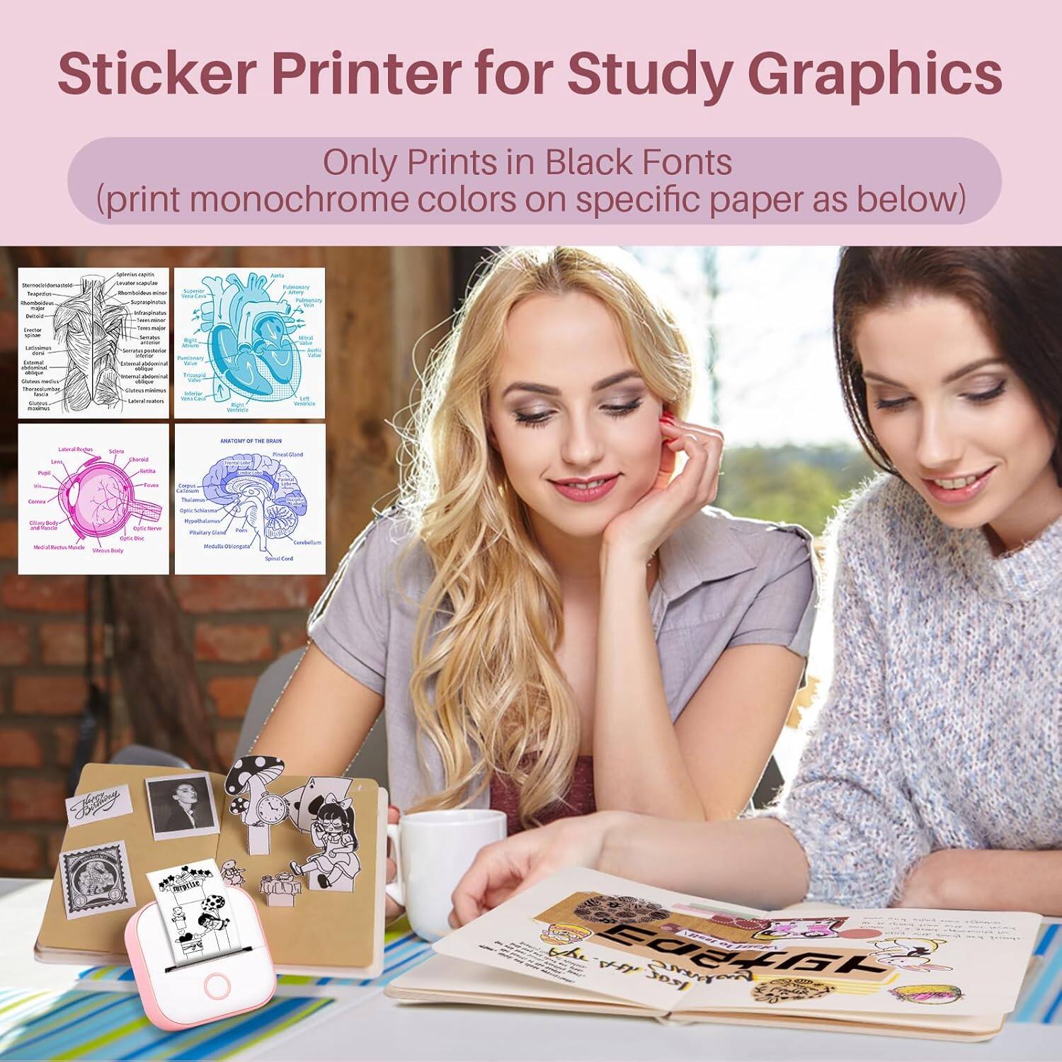 Sticker Printer for Study Graphics

Only Prints in Black Fonts  
(print monochrome colors on specific paper as below)