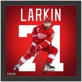 Highland Mint - Dylan Larkin Detroit Red Wings 13'' x 13'' Impact Jersey Framed Photo - Multicolor