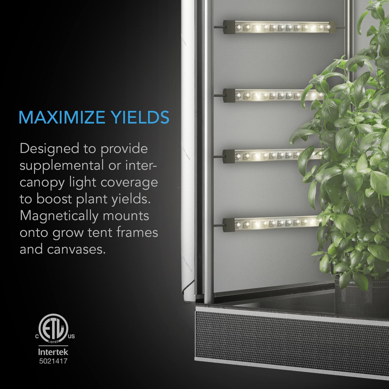 MAXIMIZE YIELDS

Designed to provide supplemental or inter-canopy light coverage to boost plant yields. Magnetically mounts onto grow tent frames and canvases.

C ETL US LISTED Intertek 5021417