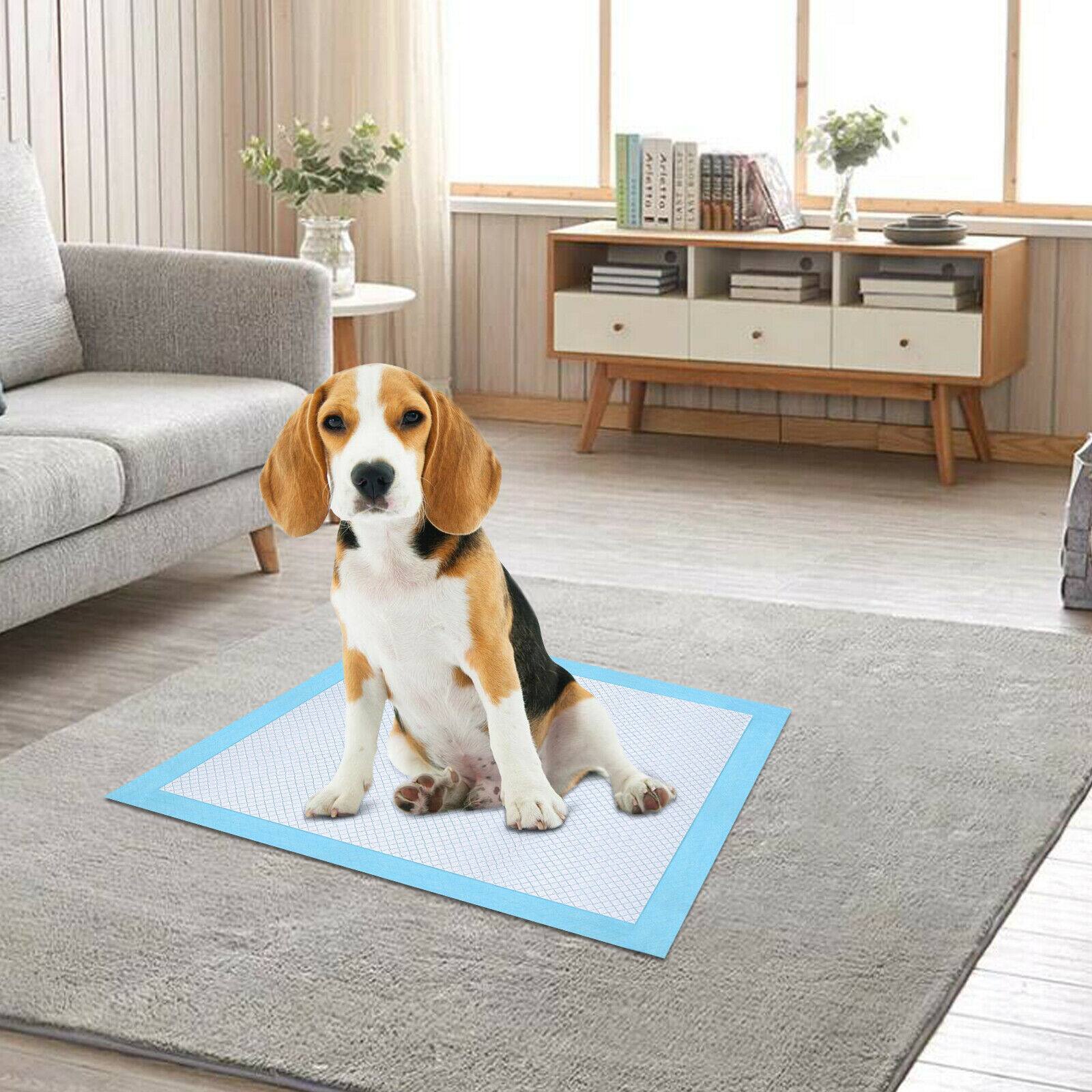 Alt View 1. Ownpets - 6 Layer Pet Dog Training Pads Pee Mats - Blue White.