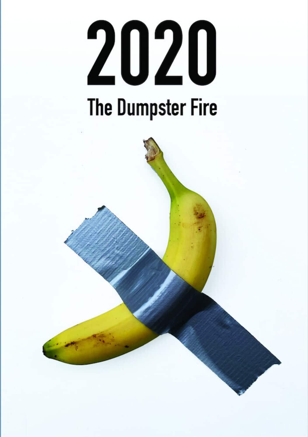 2020: The Dumpster Fire  - DVD