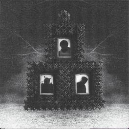 Henry J. Star - The Soft Apocalypse - VINYL LP