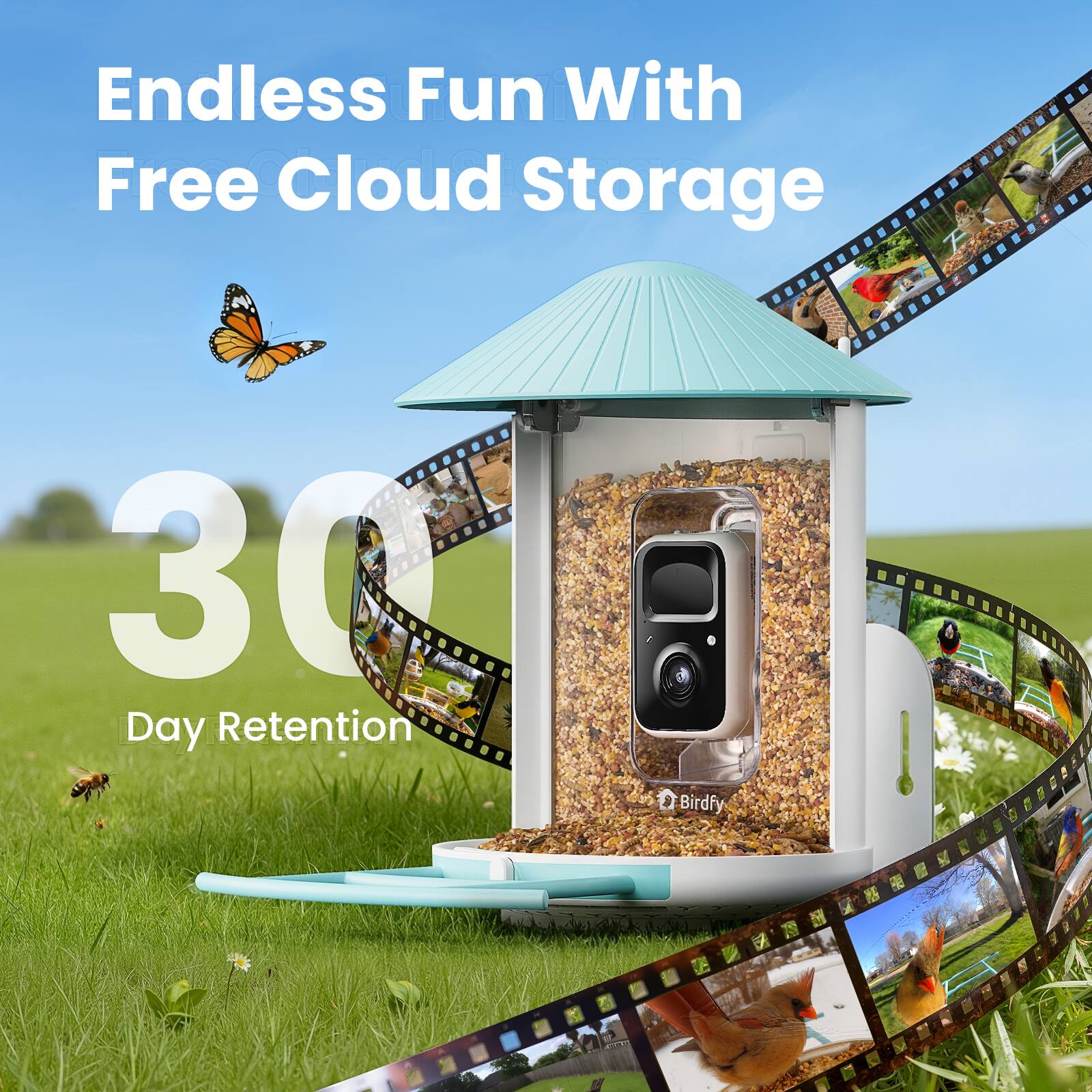 Endless Fun With Free Cloud Storage  
30 Day Retention  
Birdfy