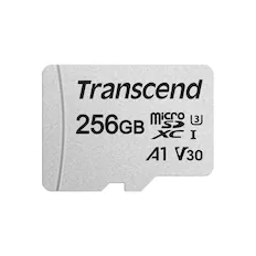 Transcend
256GB
microSDXC I
A1 V30