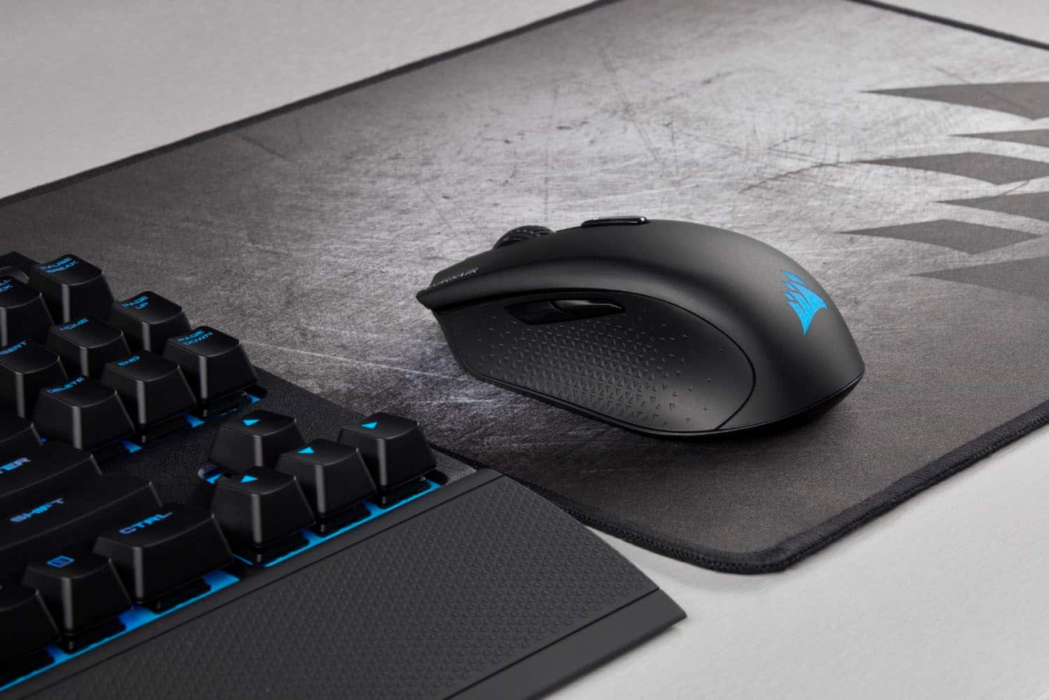 VACICRE PY GELETE 0 CTAL