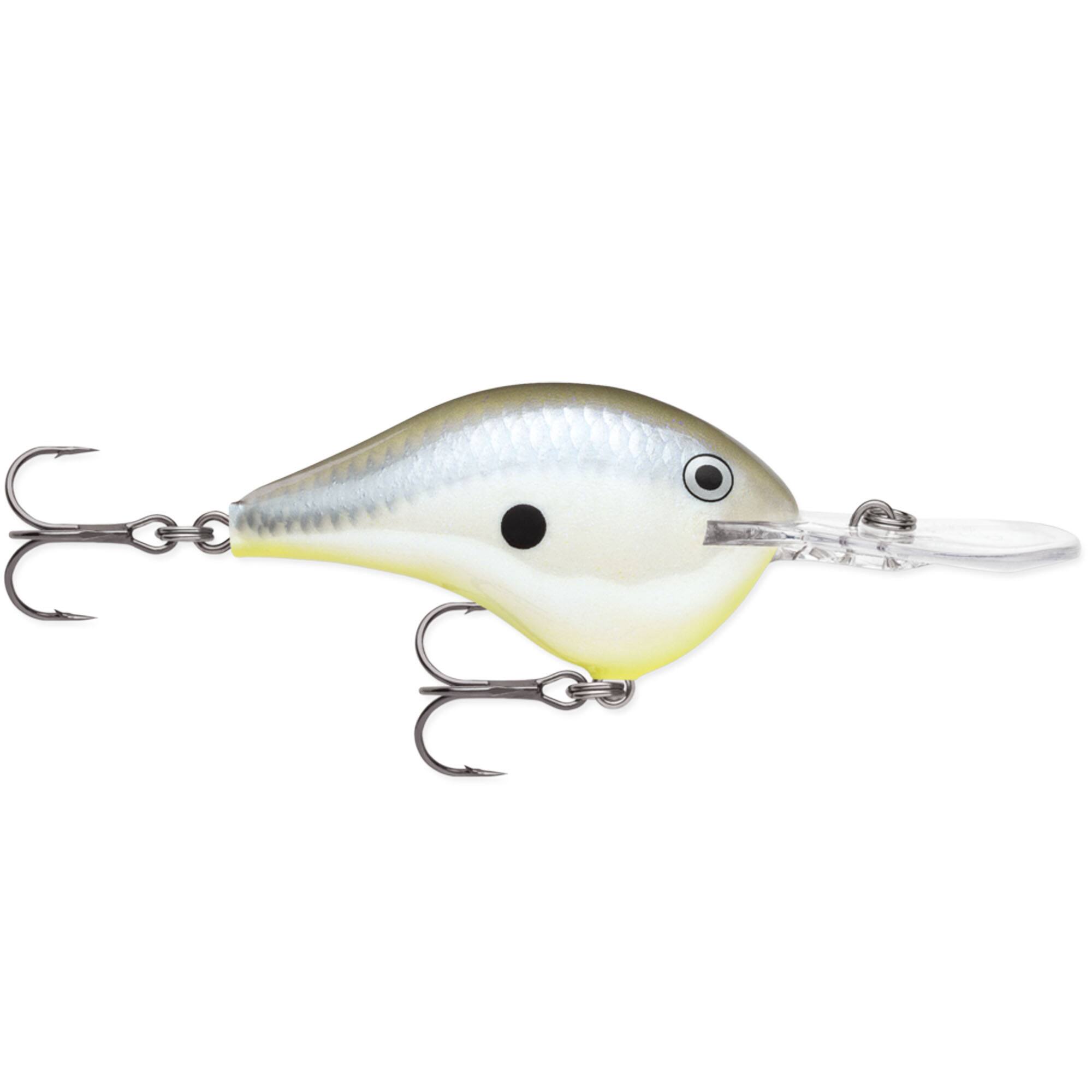 Disco Shad