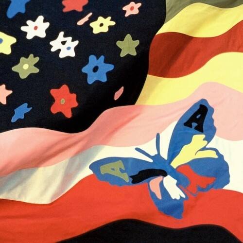 Front. The Avalanches - Wildflower   - VINYL LP.