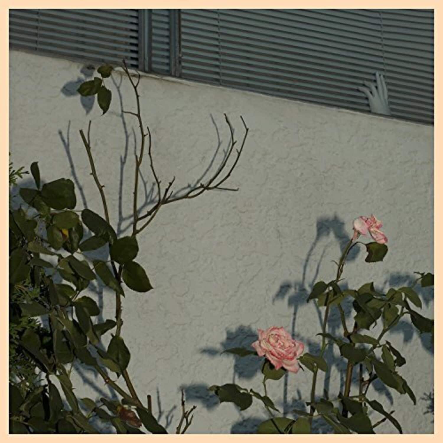 Soft Kill - Savior  - COMPACT DISCS