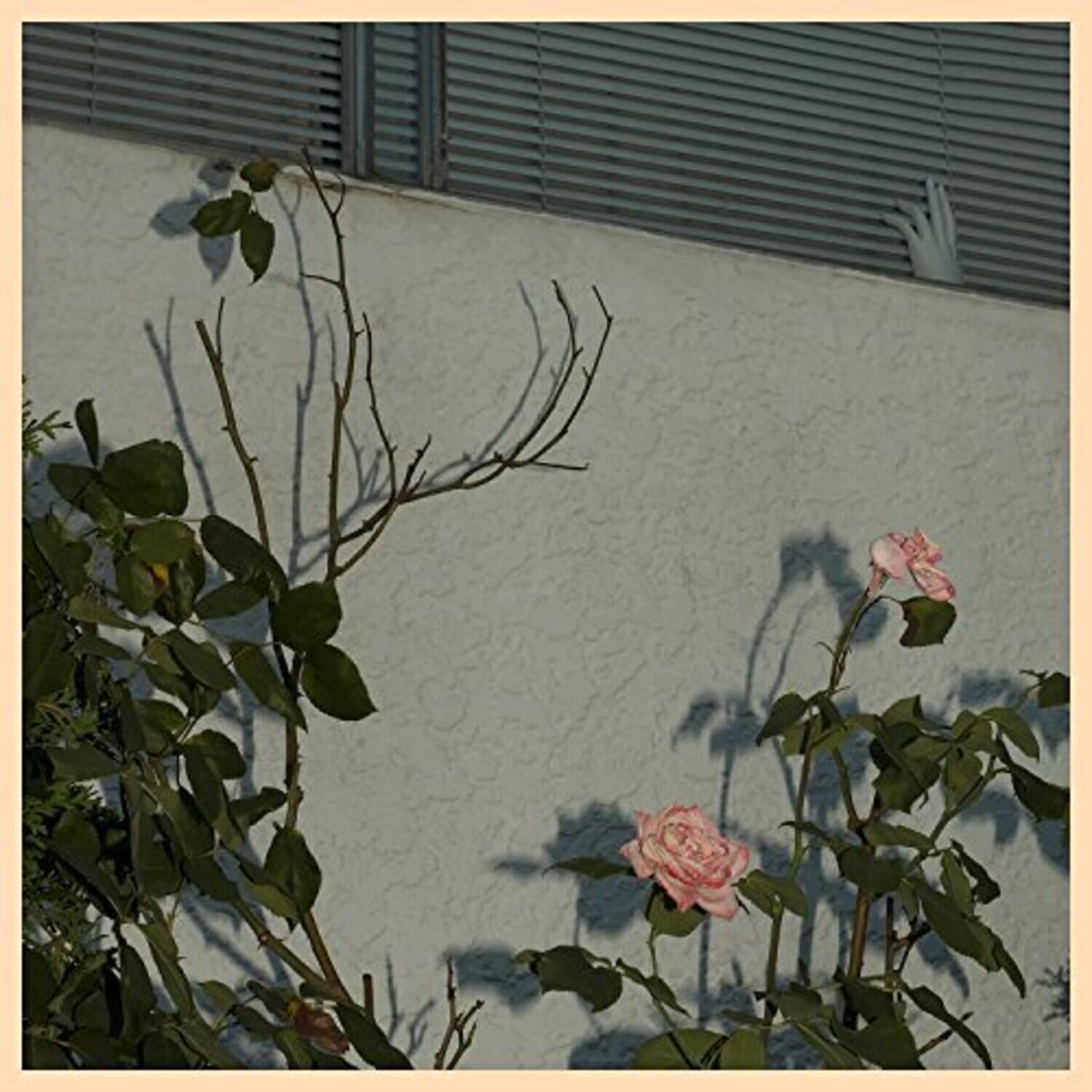 Front. Soft Kill - Savior   - COMPACT DISCS.