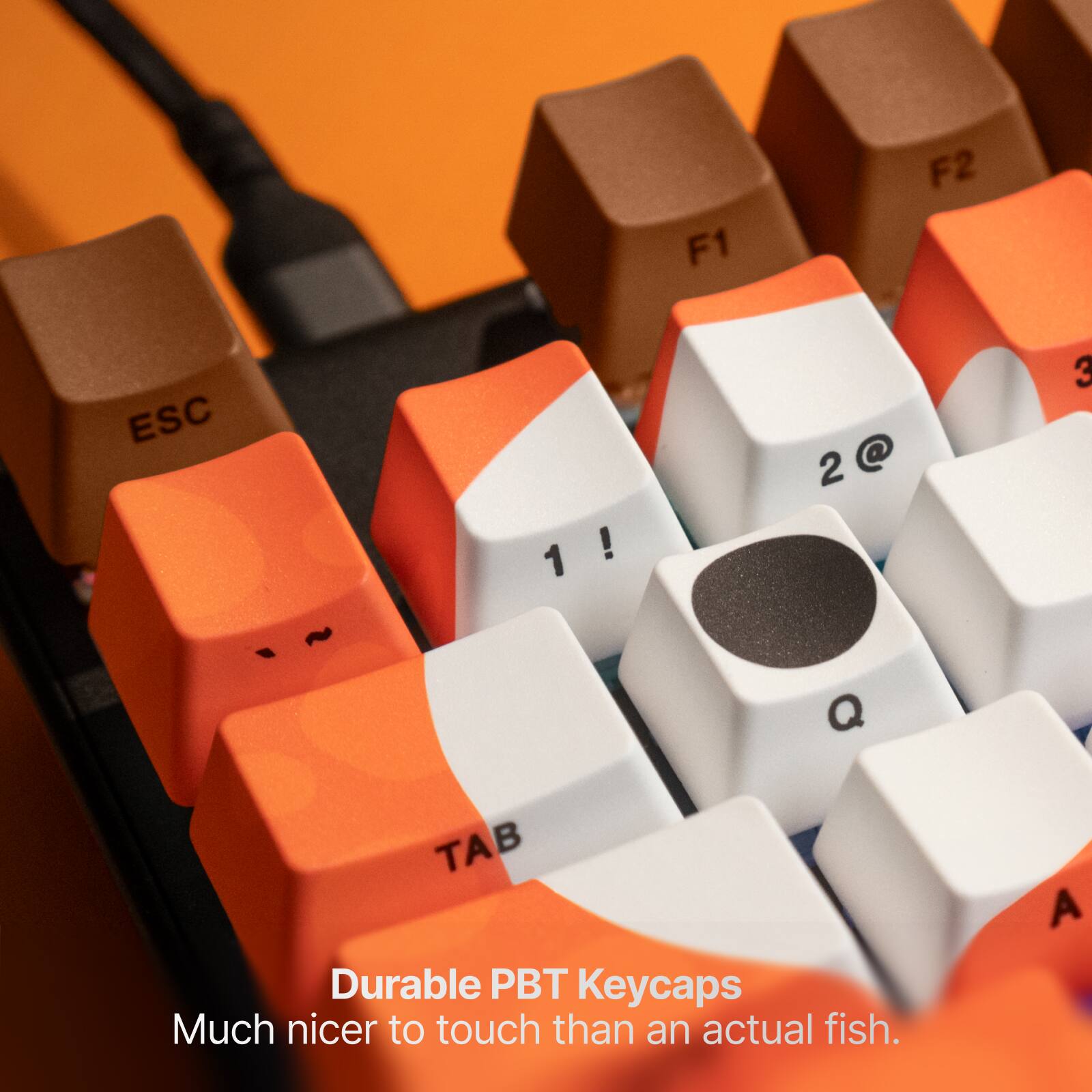 F1  
F2  
ESC  
1!  
2@  
3  
Q  
TAB  

Durable PBT Keycaps  
Much nicer to touch than an actual fish.