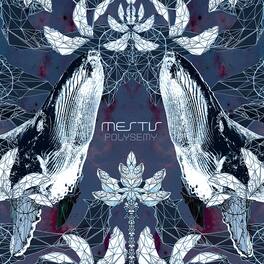 Mestis - Polysemy - VINYL LP