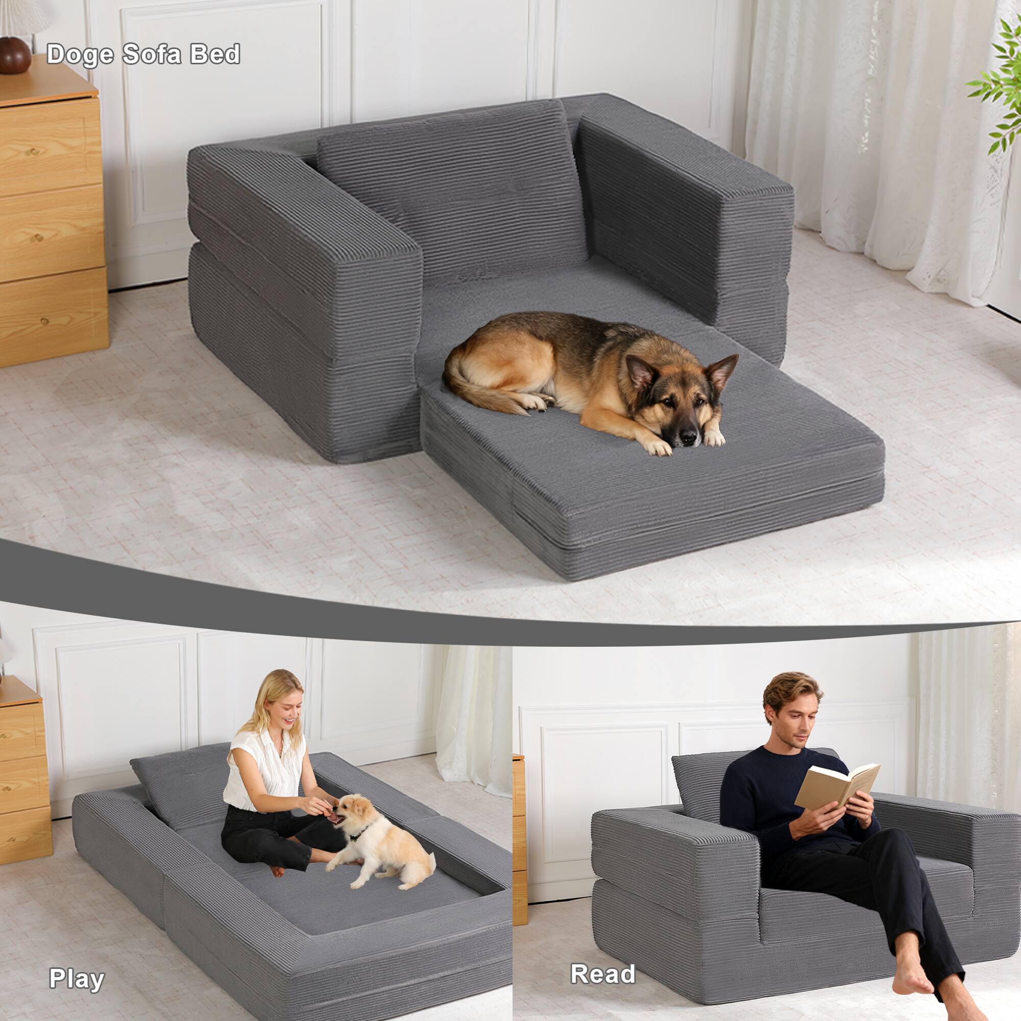 Doge Sofa Bed

Play

Read