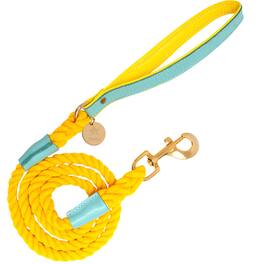 PoisePup - Pet Dog 5ft Long Leash - Teal | Yellow
