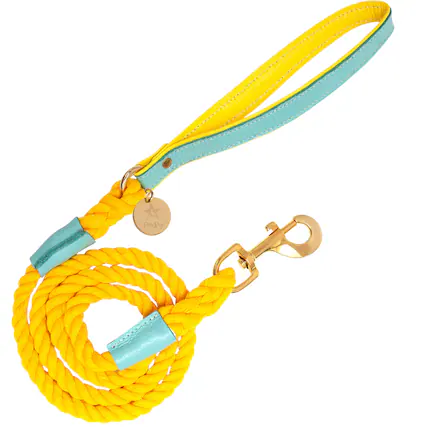 Front. PoisePup - PoisePup Pet Dog 5ft Long Leash - Teal | Yellow.