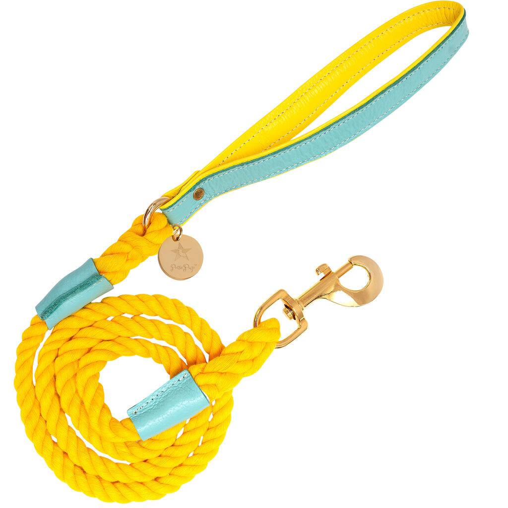 Front. PoisePup - PoisePup Pet Dog 5ft Long Leash - Teal | Yellow.