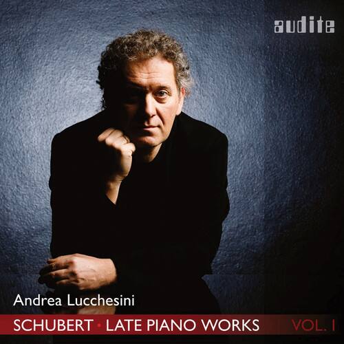 Andrea Lucchesini  
SCHUBERT - LATE PIANO WORKS  
VOL. I  

audite