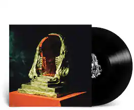 King Gizzard and the Lizard Wizard - Infest the Rats' Nest - Injection Molded Pet Ecosonic - VINYL LP