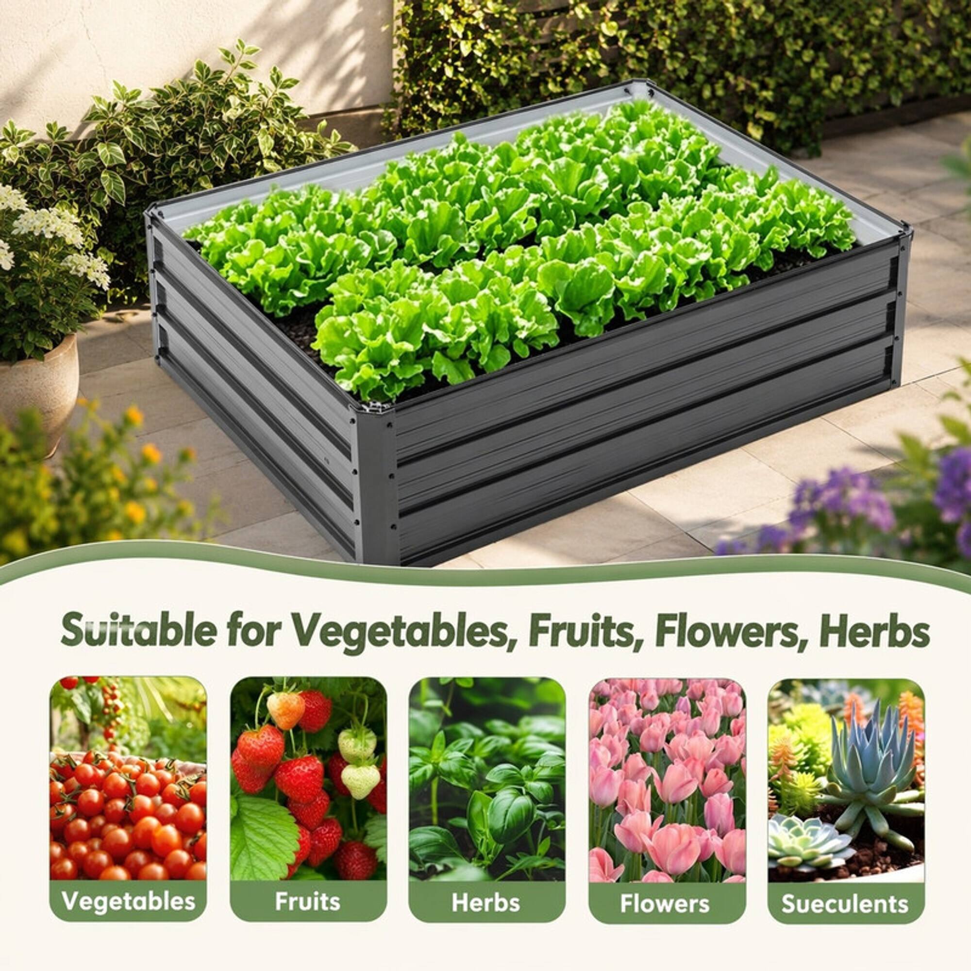 Suitable for Vegetables, Fruits, Flowers, Herbs

Vegetables
Fruits
Herbs
Flowers
Succulents