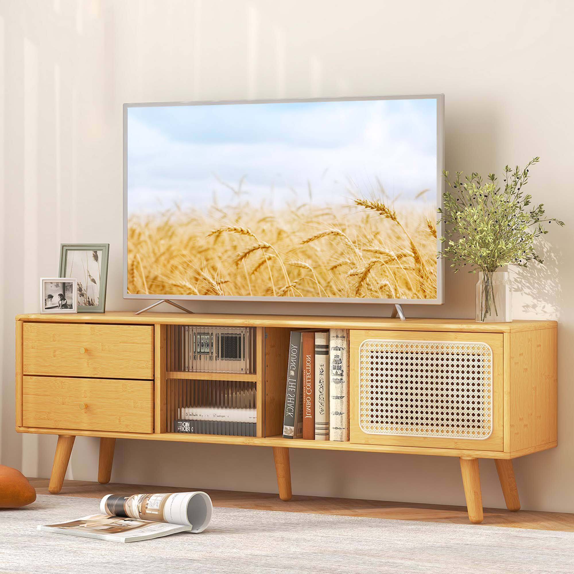 E. Young is the author of "The Shack Collection." The image features a television set on top of a wooden entertainment center, which is placed on a rug. The television is turned on and displaying a picture of a field of wheat.