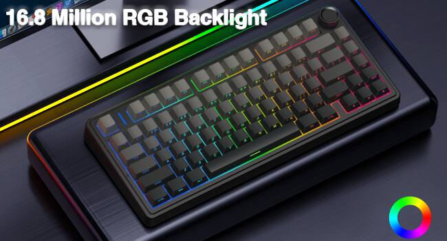 16.8 Million RGB Backlight