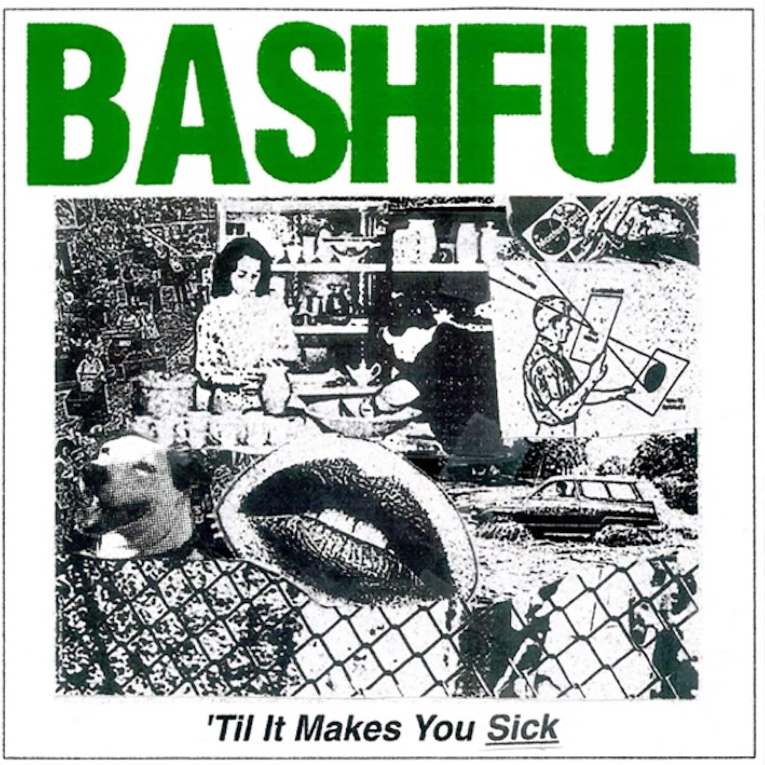 Bashful - 'Til It Makes You Sick   - VINYL LP price history on PriceWatchPro