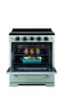 The image shows a green oven with two trays of food inside. The oven is filled with chicken, and there are multiple chicken pieces visible in the trays. The oven is placed next to a stove, and the scene is set against a white background.