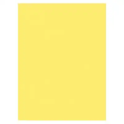 Yellow Packing Alert Prang 9