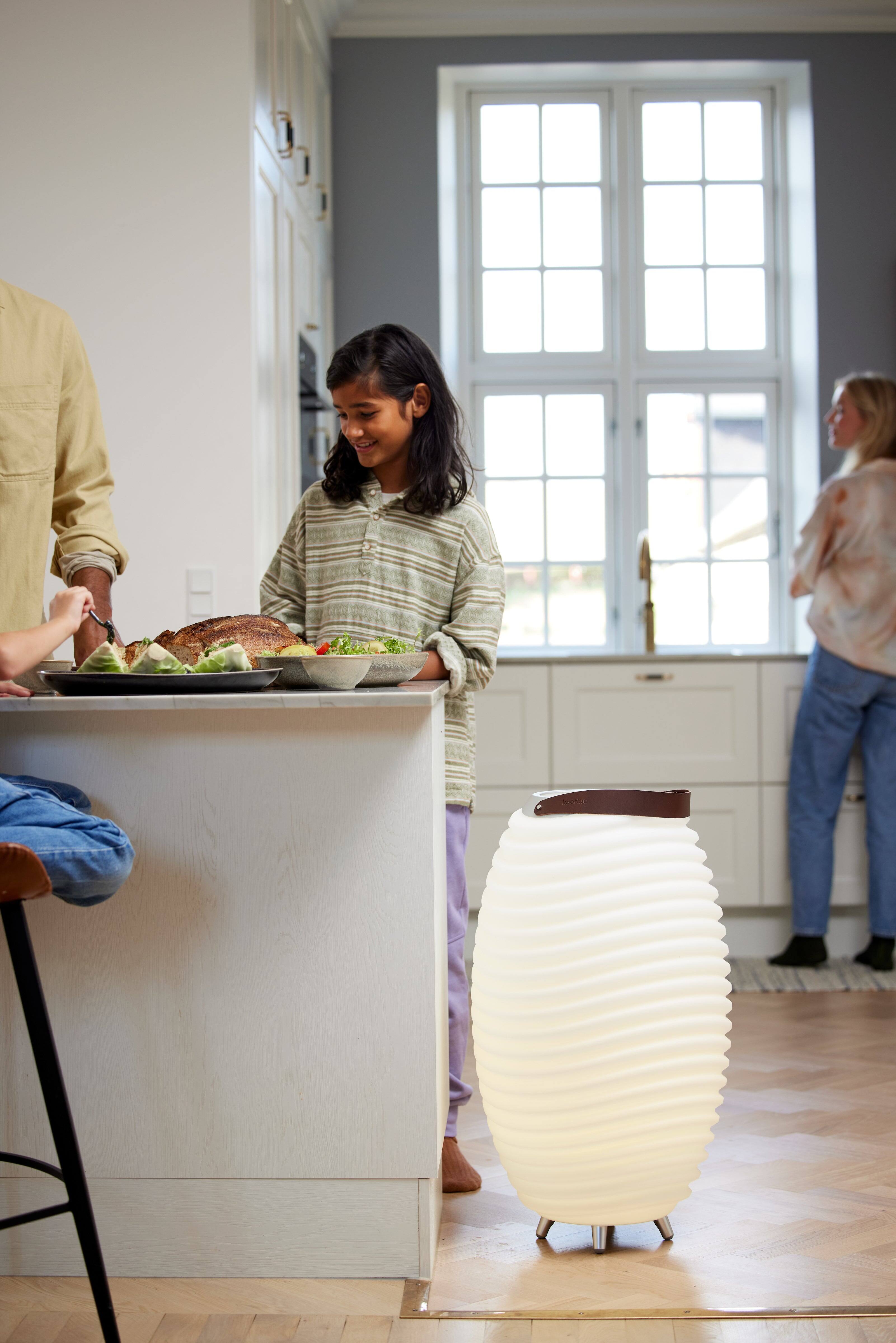 Alt View 1. Kooduu - Synergy 65 Lamp, Cordless rechargeable indoor/outdoor speaker Lamp.