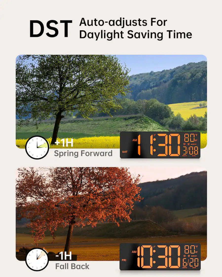 Remote Control Dst Easyera 12