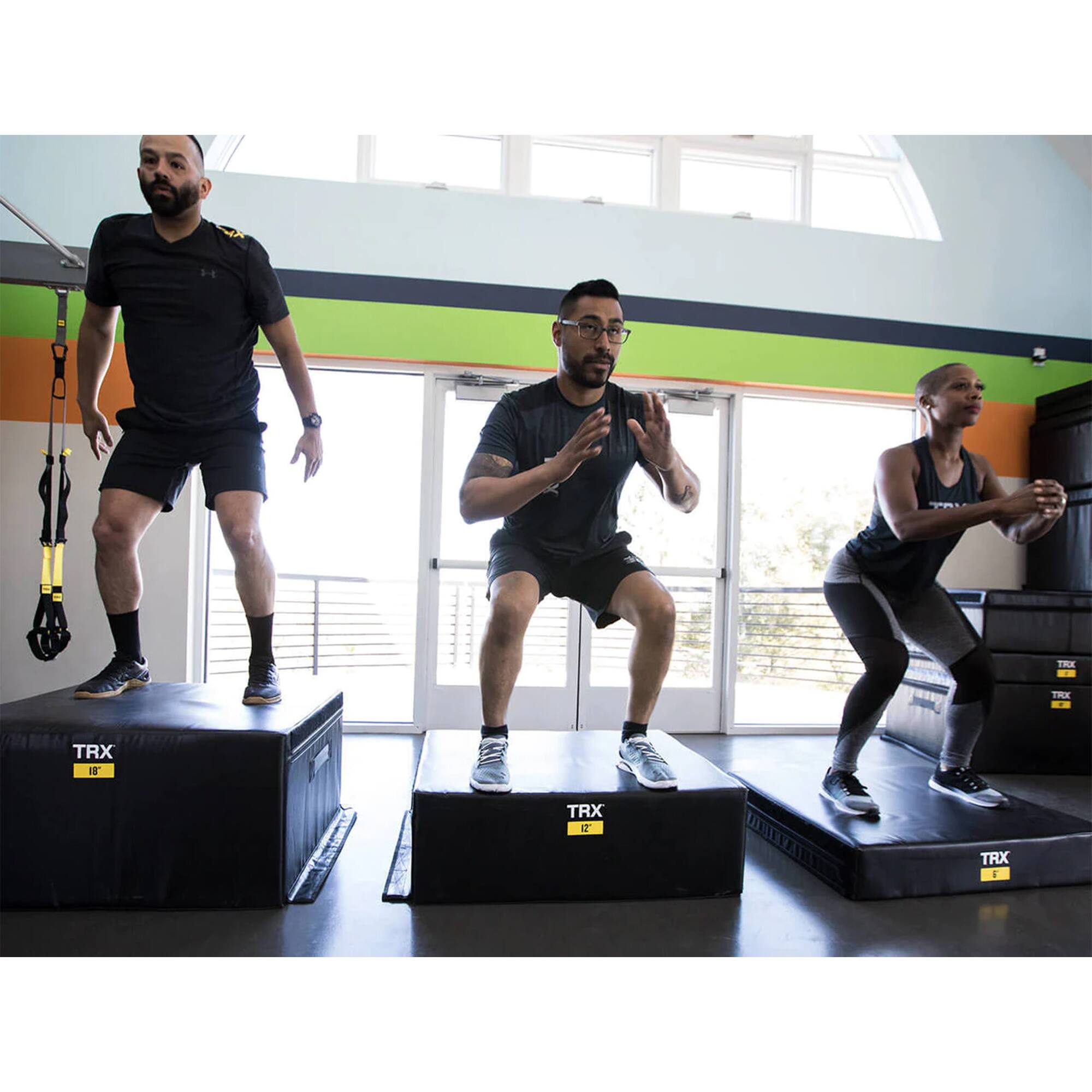 TRX 18"  
TRX 12"  
TRX 6"