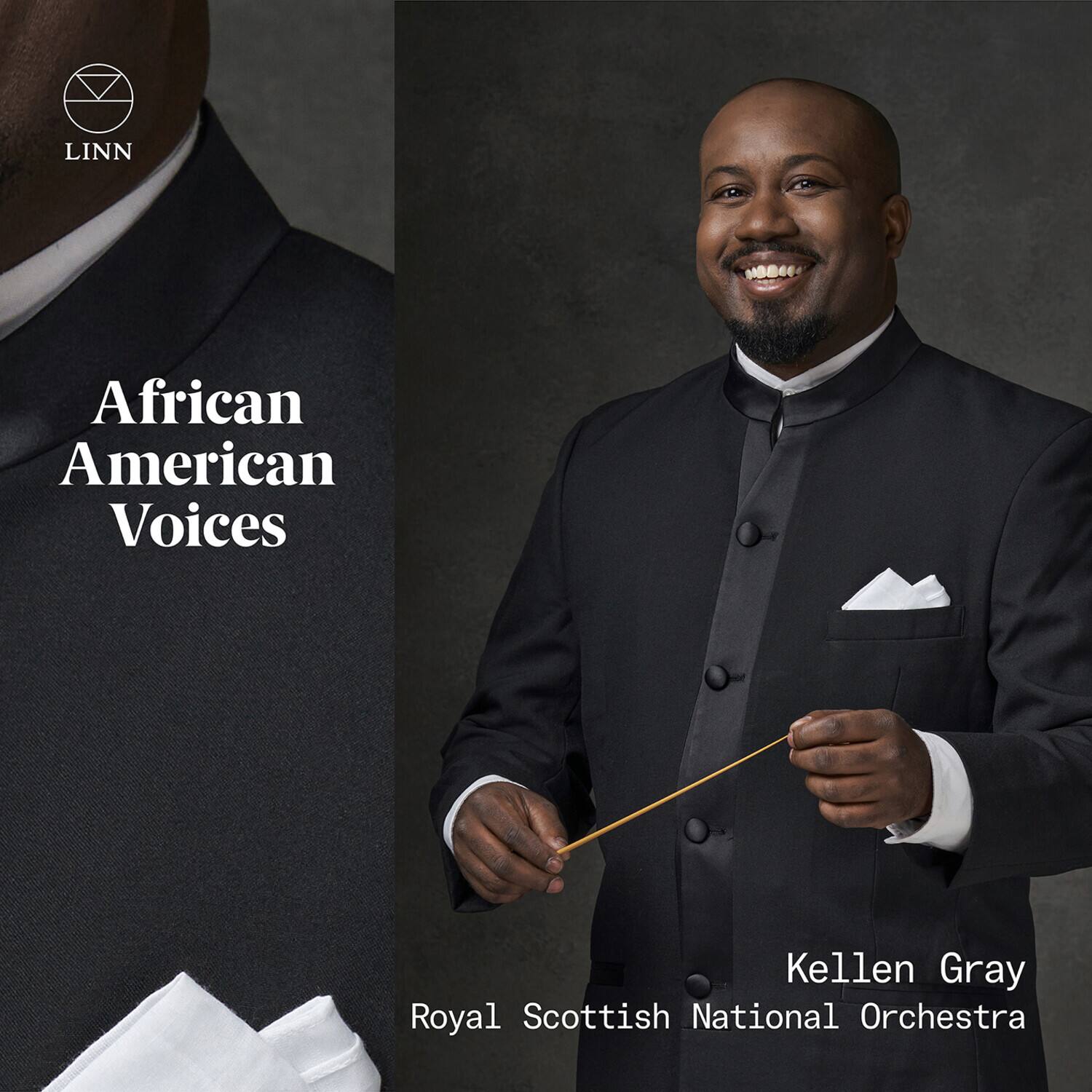 Royal Scottish National Orchestra - Dawson Still & Walker: African American Voices   - COMPACT DISCS [CD] price history on PriceWatchPro