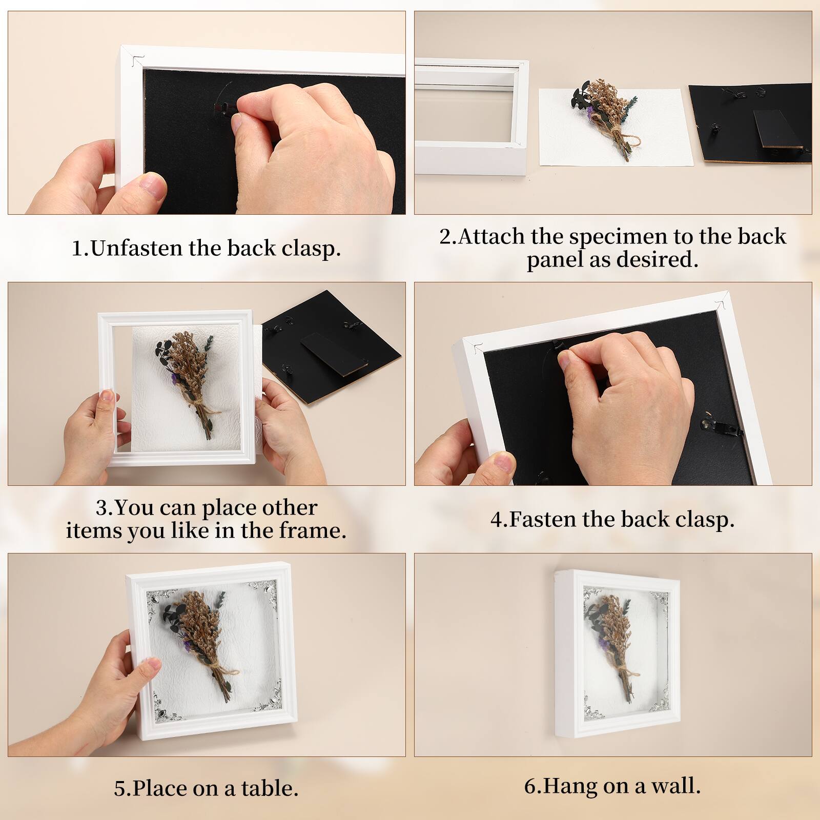 1. Unfasten the back clasp.
2. Attach the specimen to the back panel as desired.
3. You can place other items you like in the frame.
4. Fasten the back clasp.
5. Place on a table.
6. Hang on a wall.