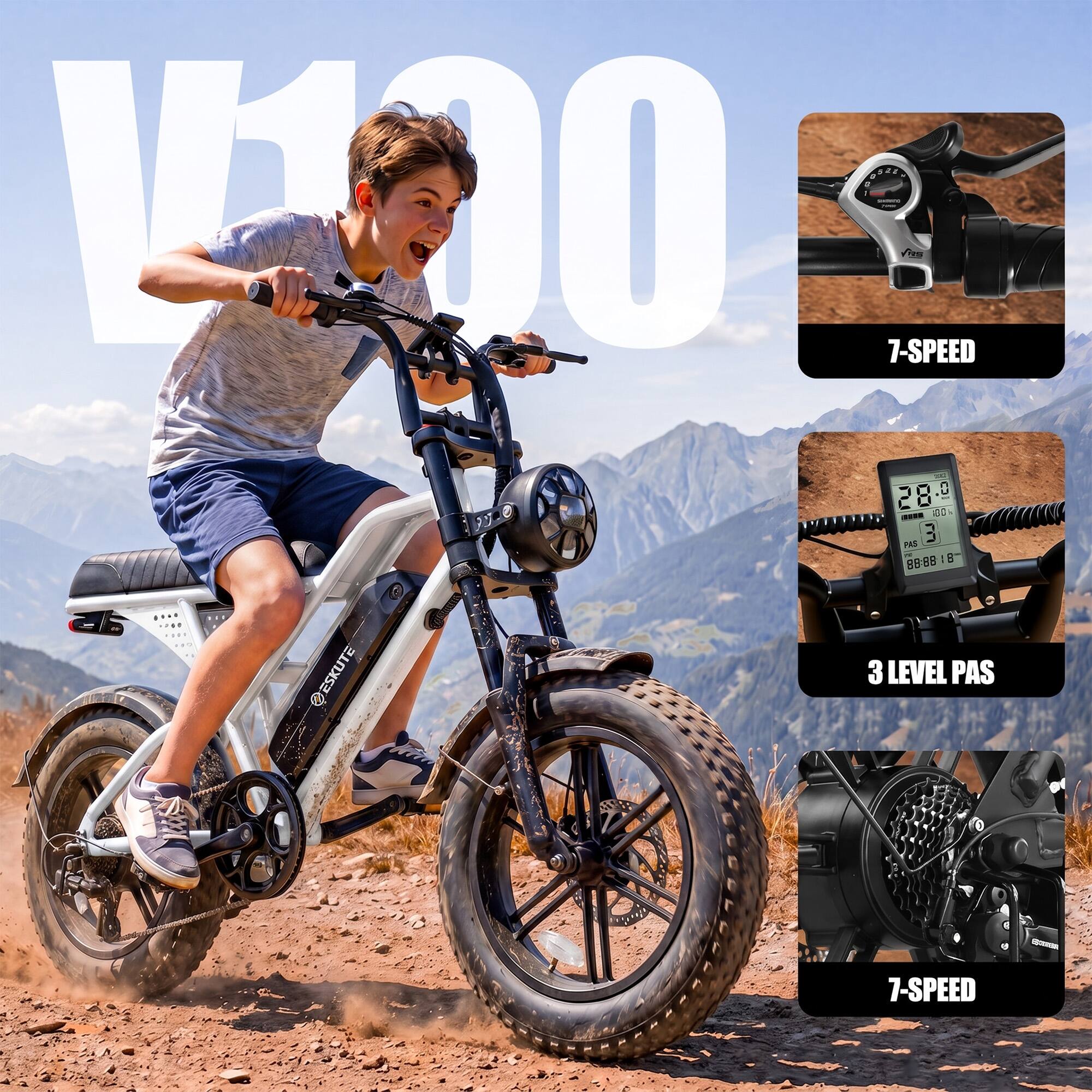 V100

7-SPEED

28.0

3 LEVEL PAS

7-SPEED