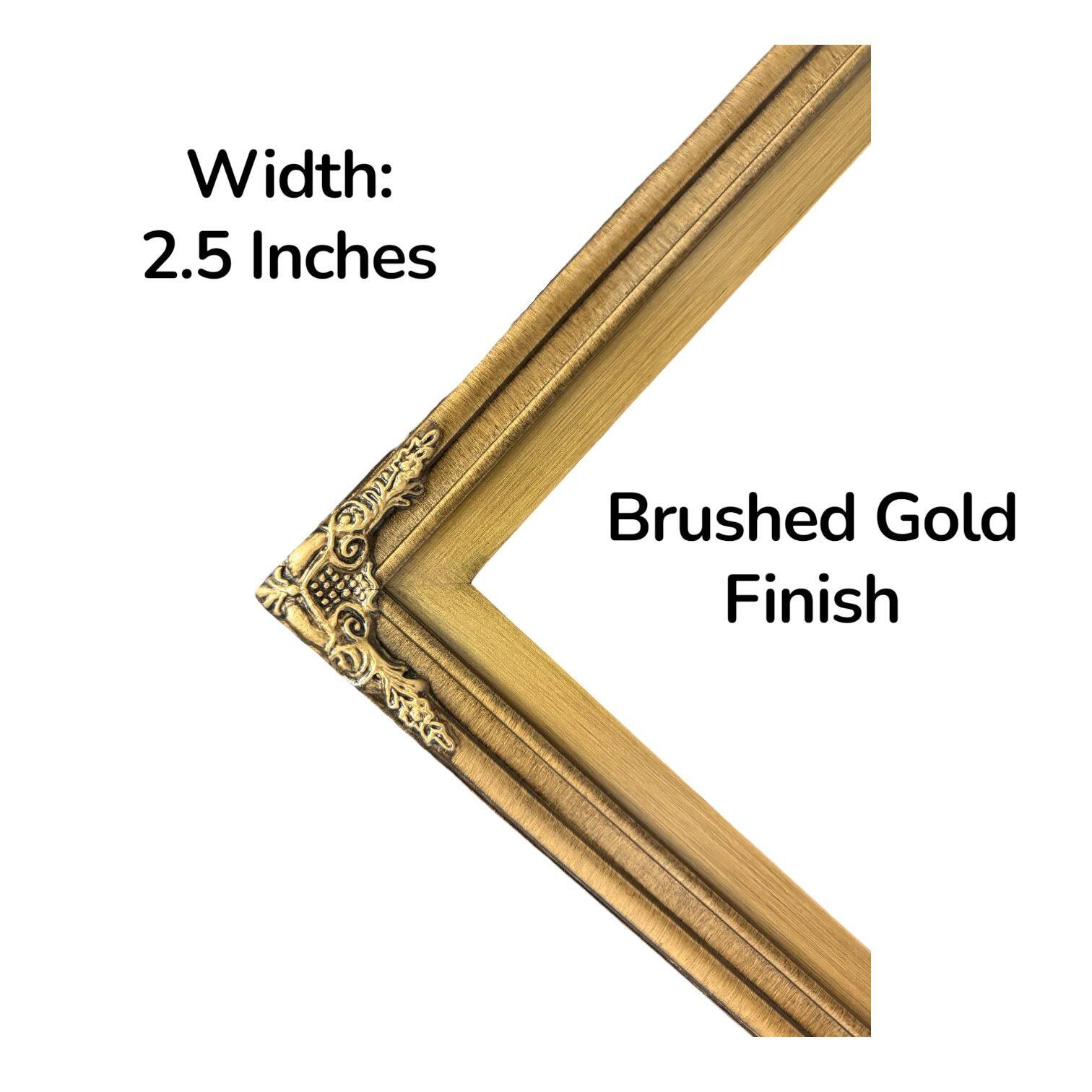 Width: 2.5 Inches  
Brushed Gold Finish
