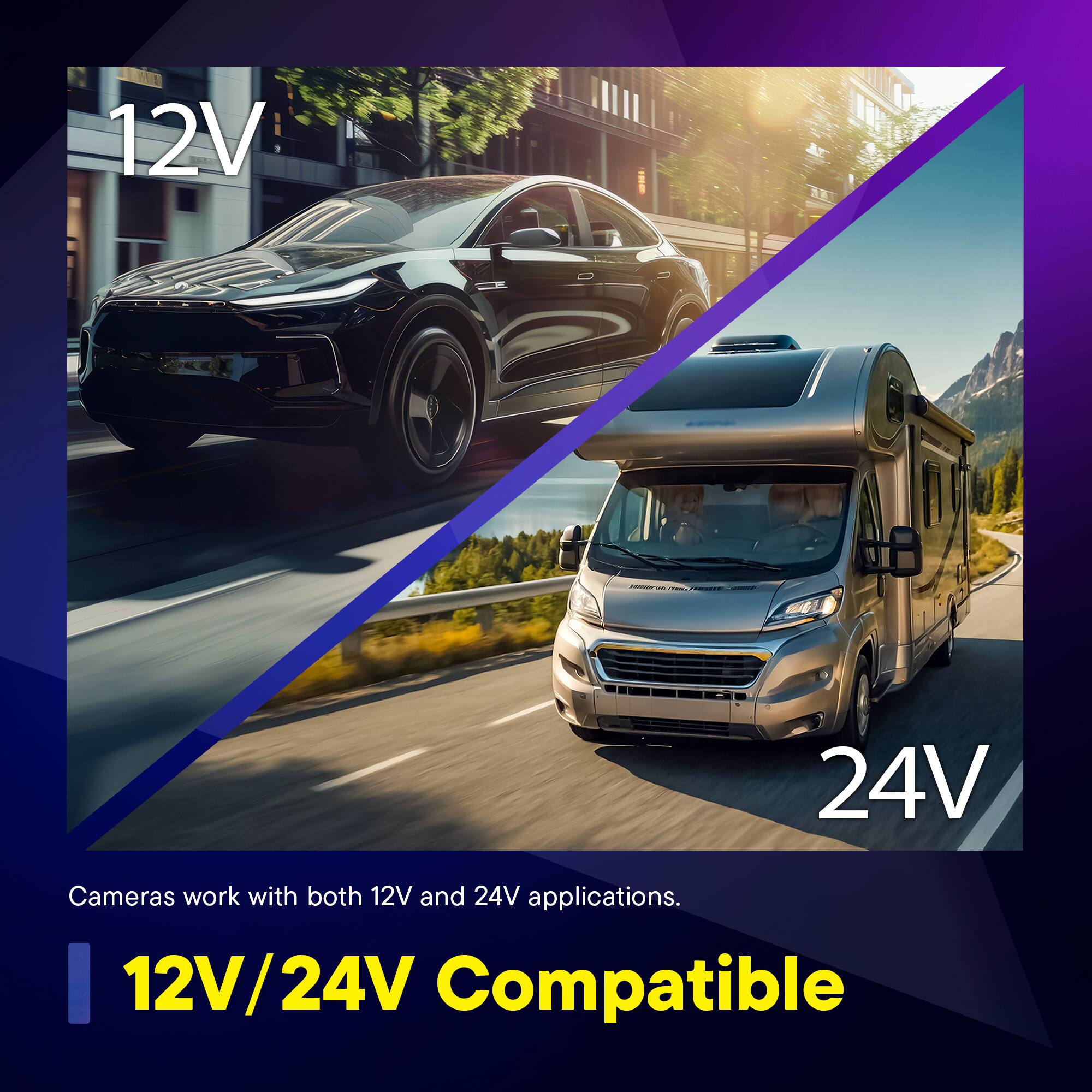 12V 24V Cameras work with both 12V and 24V applications.  
12V/24V Compatible