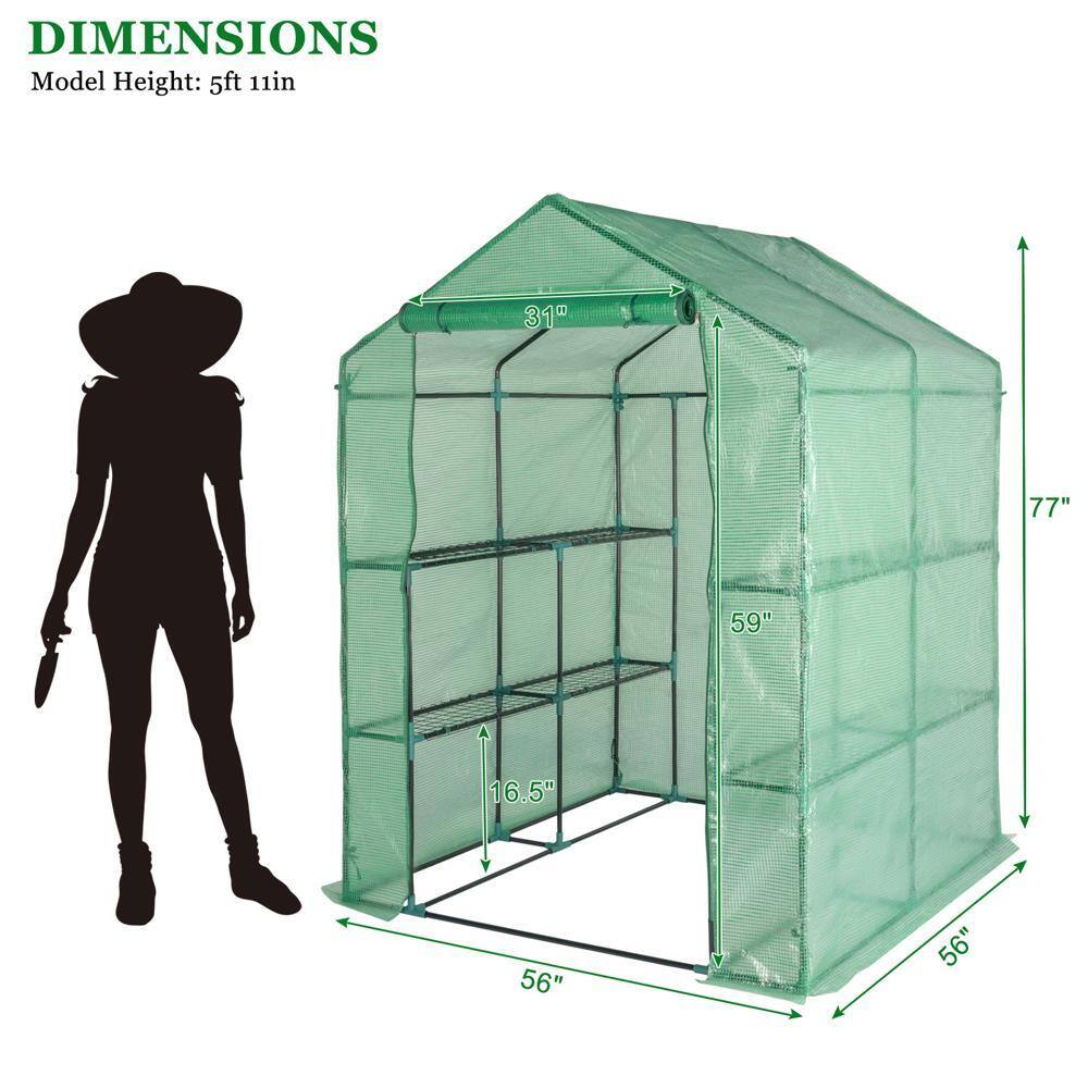 DIMENSIONS  
Model Height: 5ft 11in  
31"  
77"  
59"  
16.5"  
56"  
56"