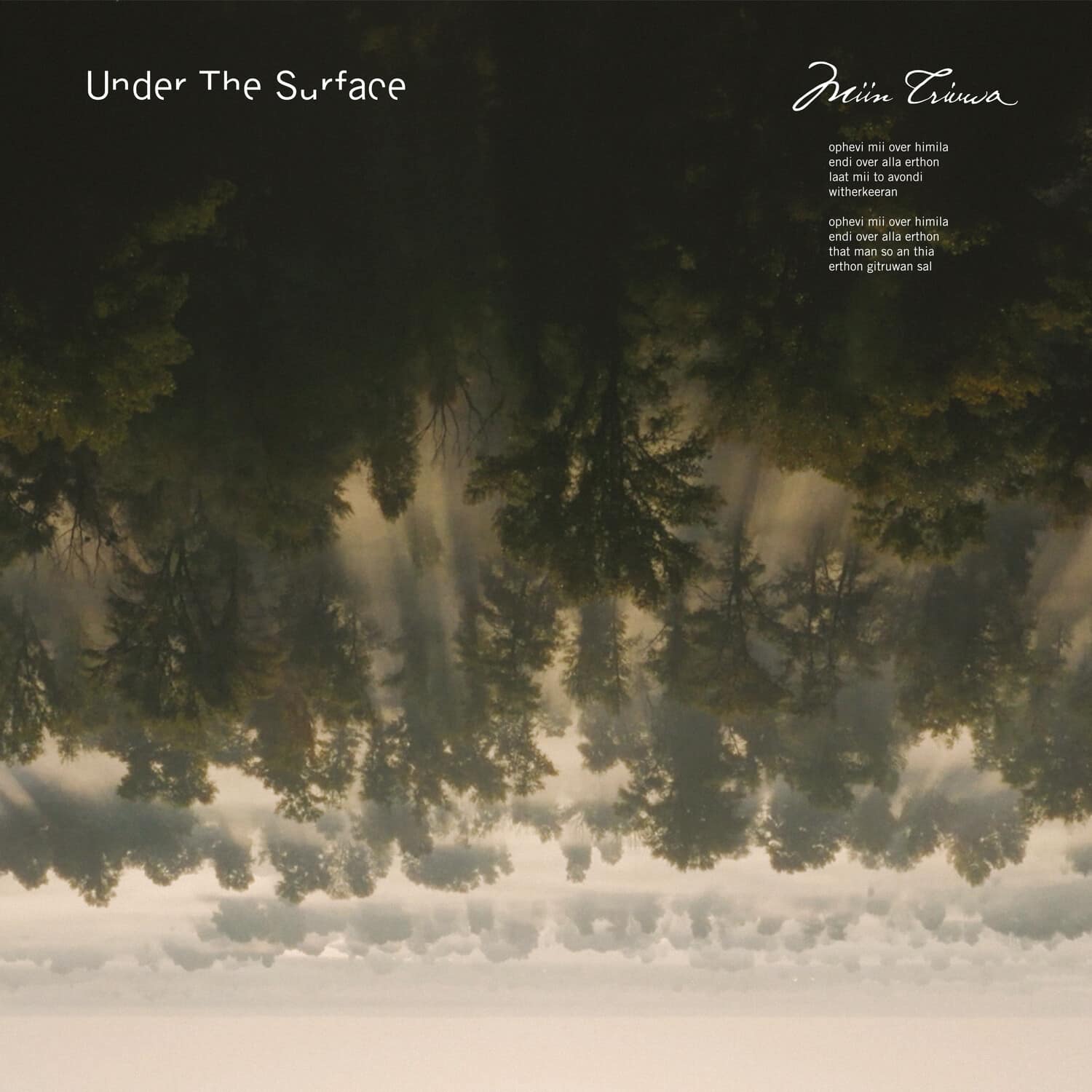 Under The Surface - Miin Triuwa  - COMPACT DISCS