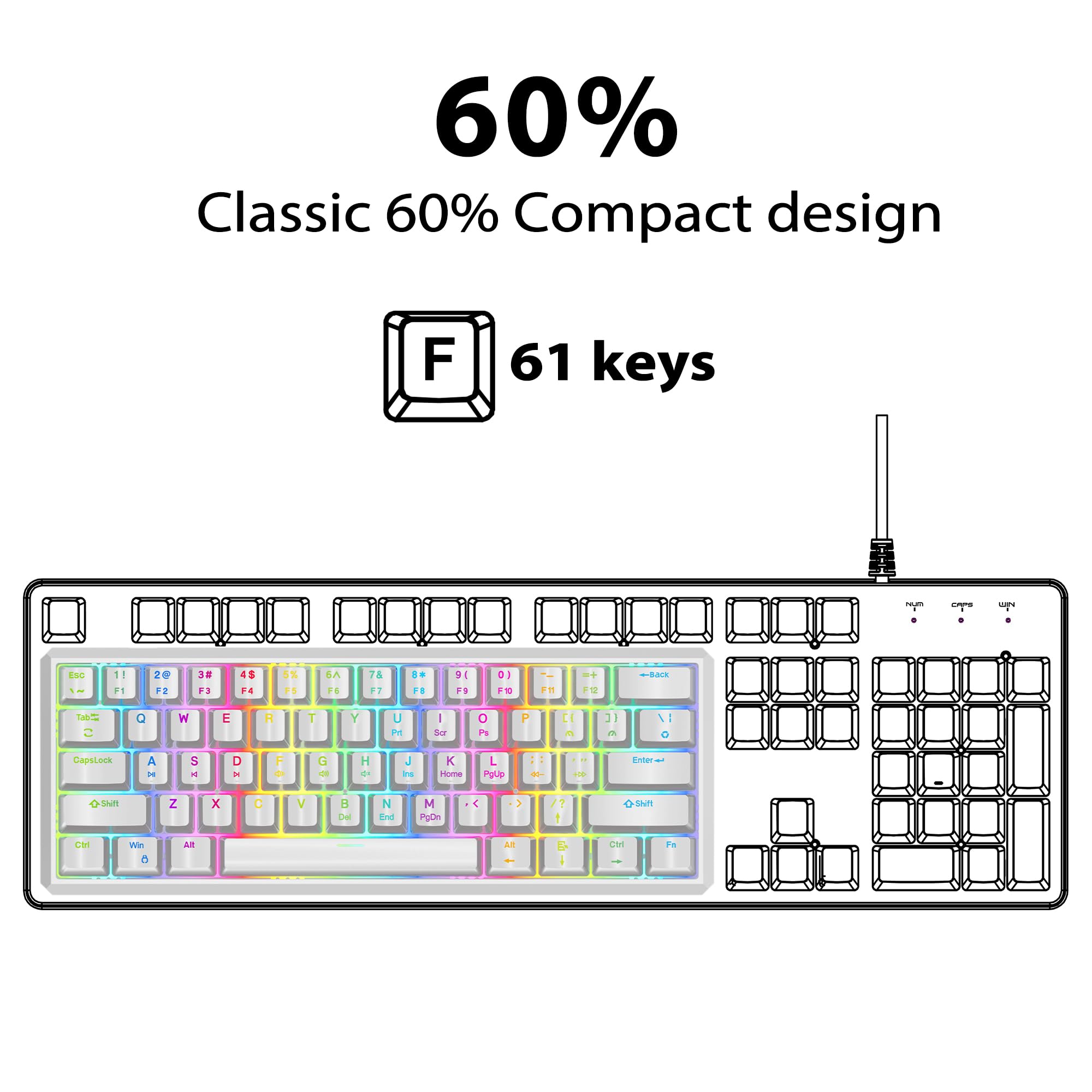 60% Classic 60% Compact design  
61 keys  

Esc 1 2 3 4 5 6 7 8 9 0 - = Backspace  
Tab Q W E R T Y U I O P [ ] \  
Capslock A S D F G H J K L ; ' Enter  
Shift Z X C V B N M , . / Shift  
Ctrl Win Alt Spacebar Alt