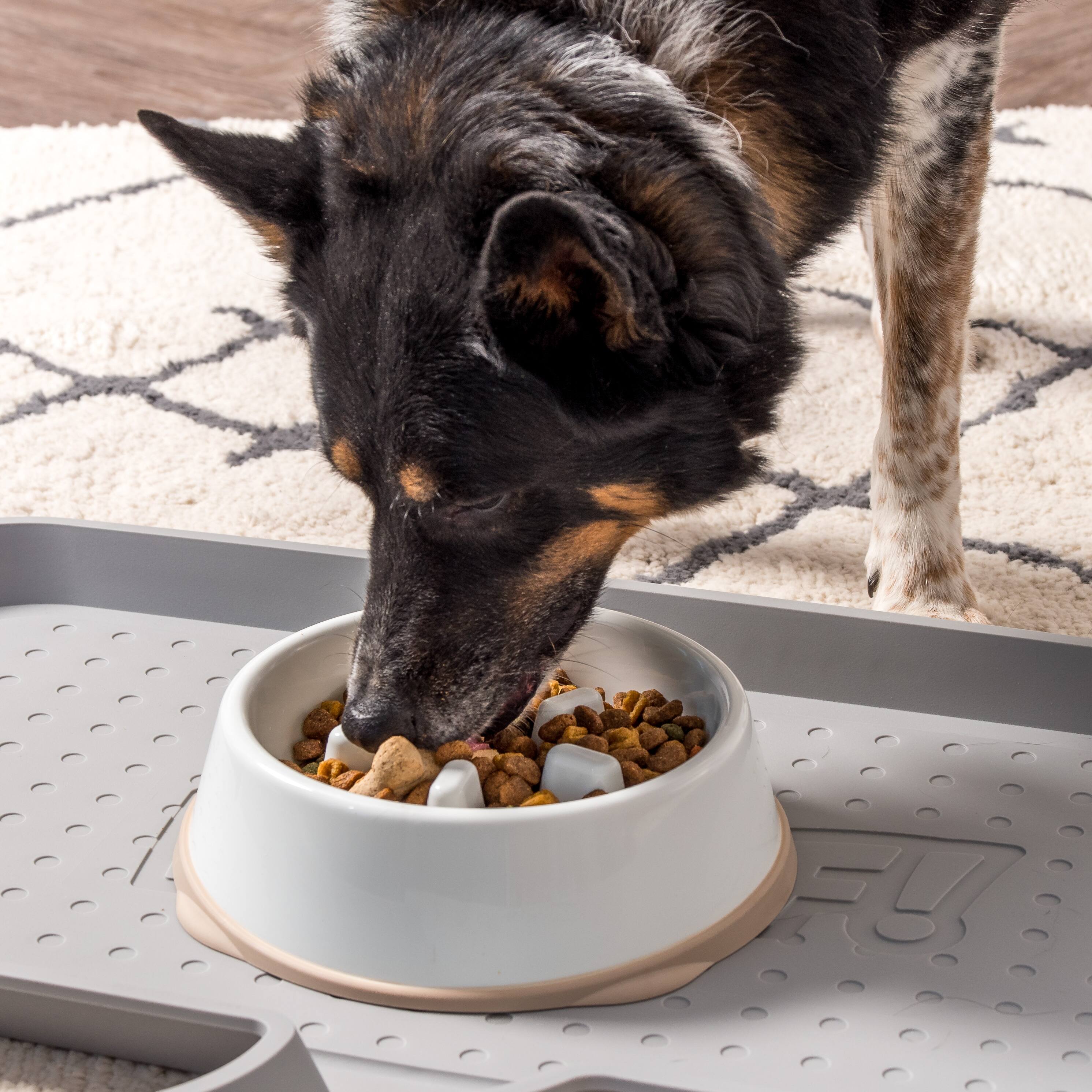 Alt View 4. IRIS USA - IRIS USA 2Cup/4Cup Slow Feeder Dog Bowl for Pets - White/Beige.