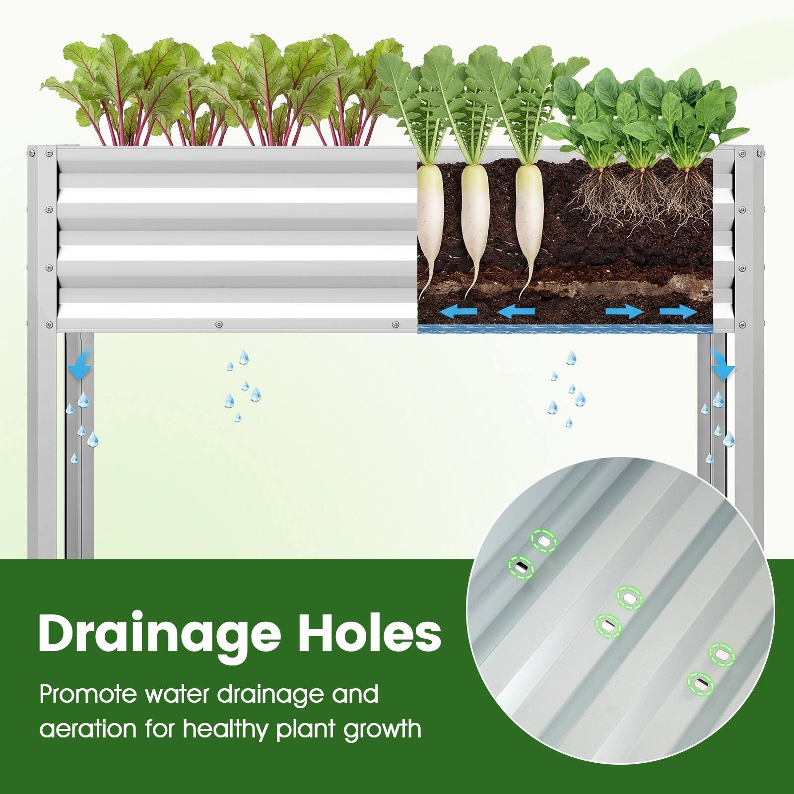Drainage Holes

Promote water drainage and aeration for healthy plant growth