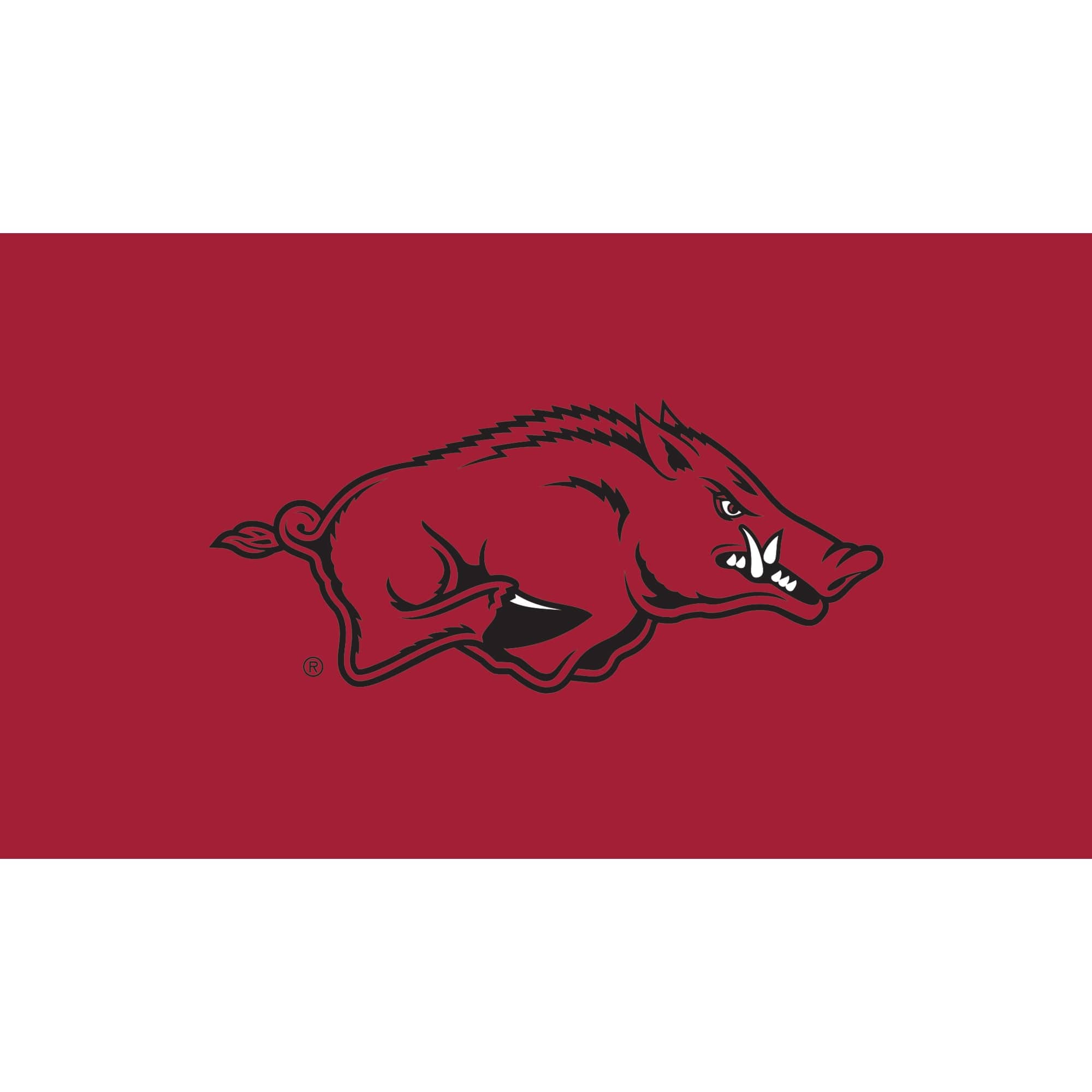 Evergreen Enterprises - Arkansas Razorbacks 28" x 16" Turf Mat - Multicolor
