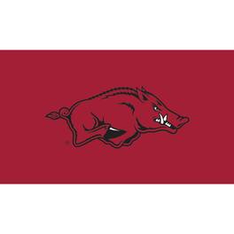 Evergreen Enterprises - Arkansas Razorbacks 28" x 16" Turf Mat - Multicolor