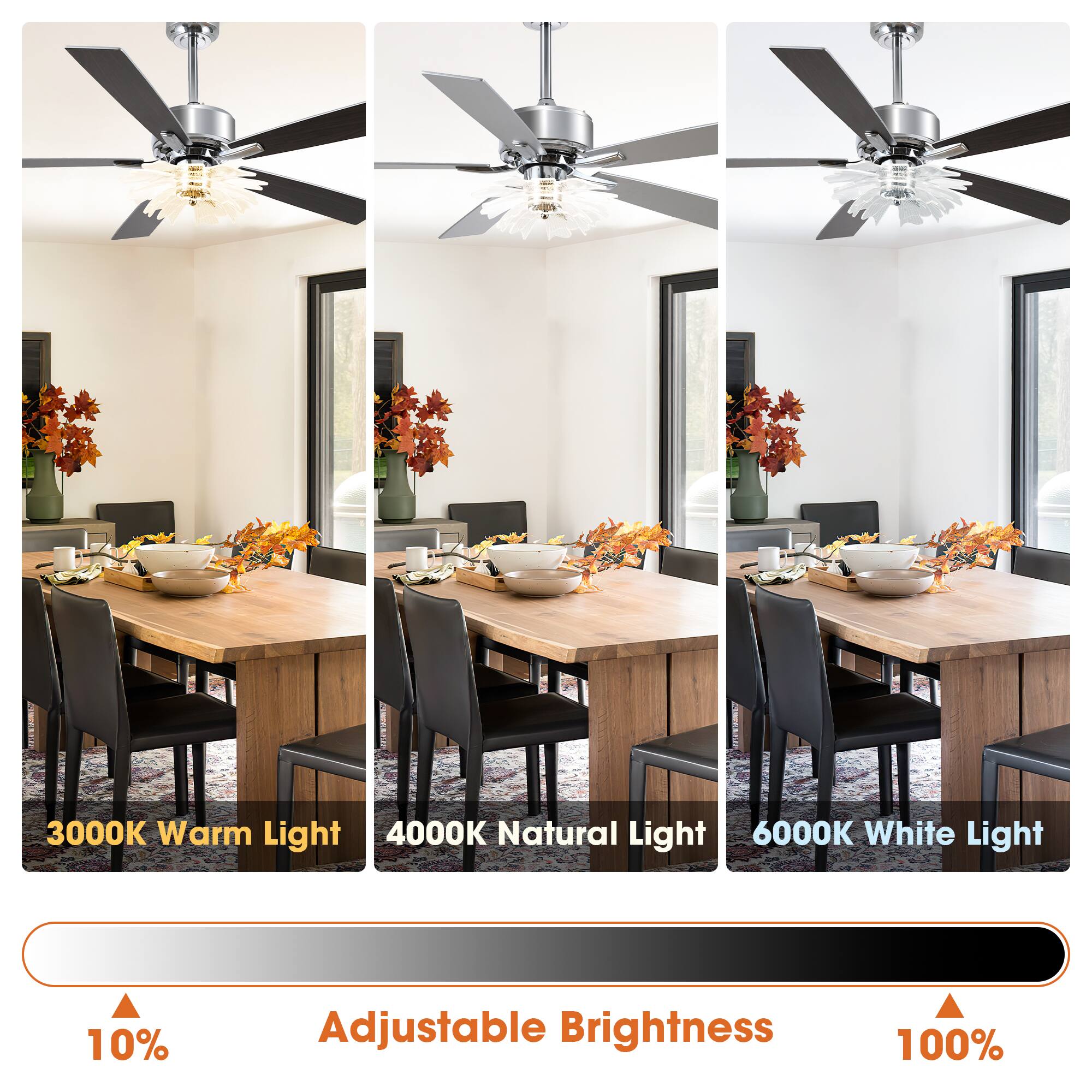 3000K Warm Light  
4000K Natural Light  
6000K White Light  

10% Adjustable Brightness  
100%