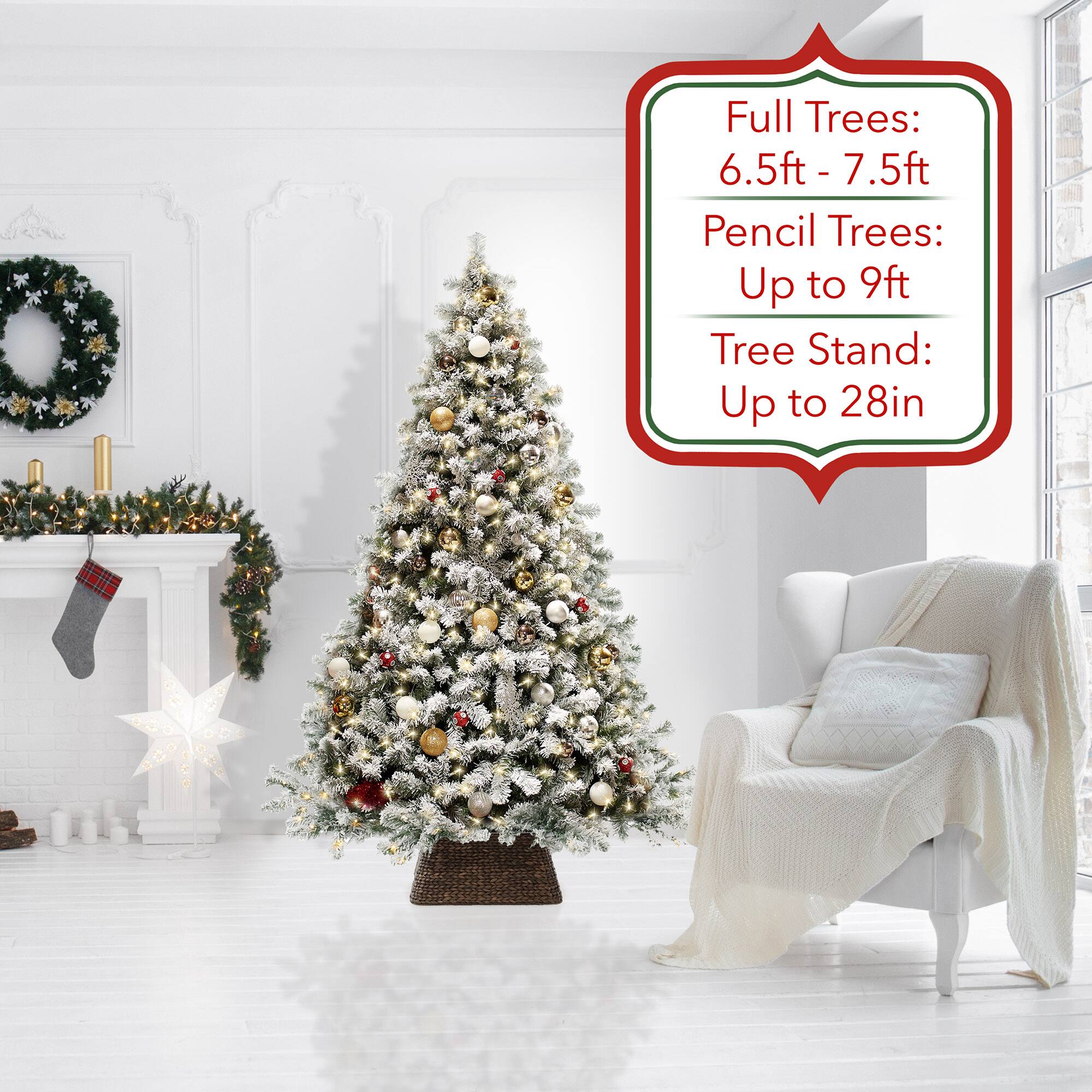Full Trees: 6.5ft - 7.5ft  
Pencil Trees: Up to 9ft  
Tree Stand: Up to 28in