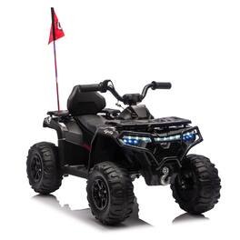 Boyel Living - 3+ 24V Kids Ride On UTV Twin 80W Motors - Black