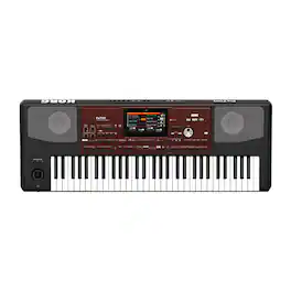 Korg - Pa700 61-Key Professional Arranger Keyboard (Black)