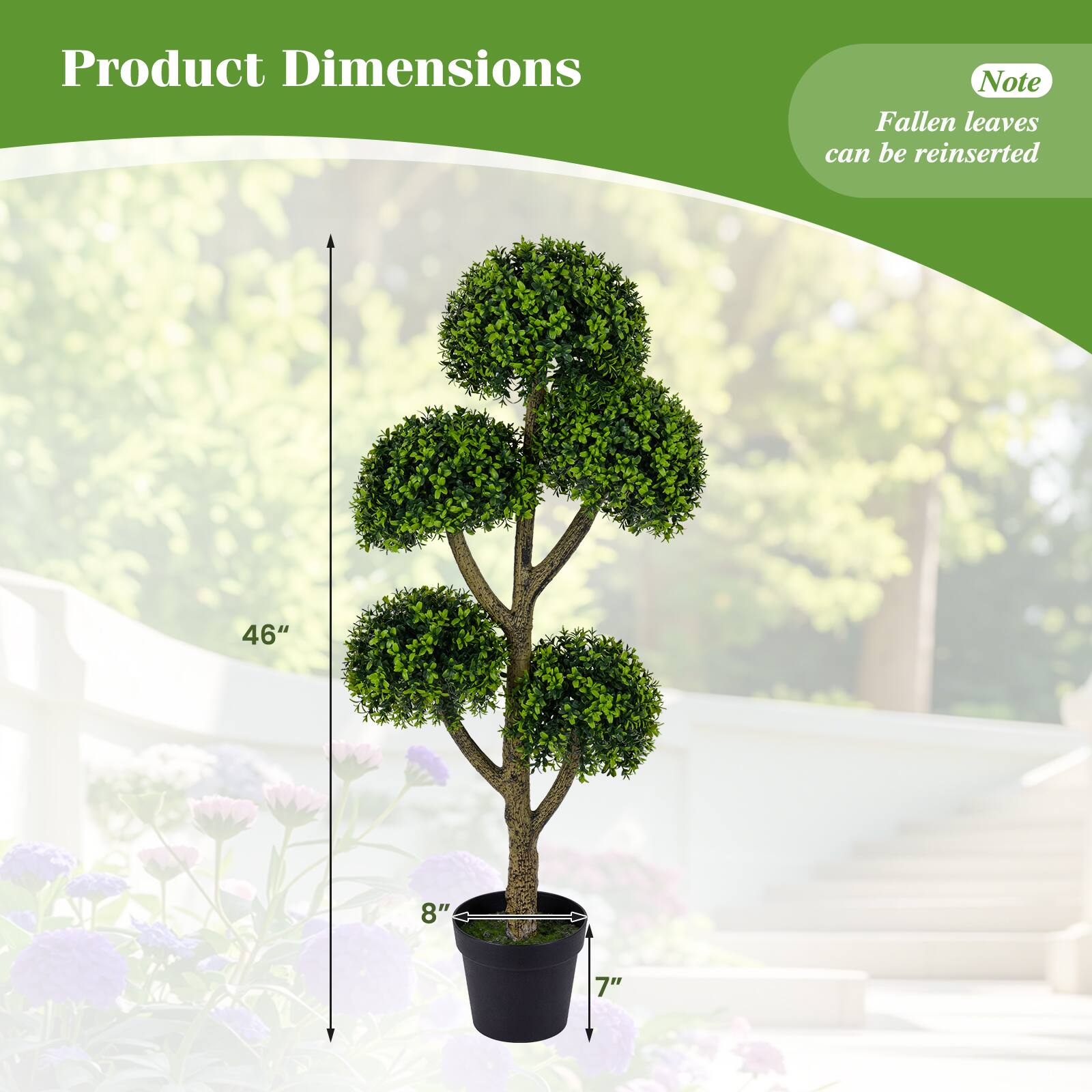 Product Dimensions

Note: Fallen leaves can be reinserted

46"  
8"  
7"