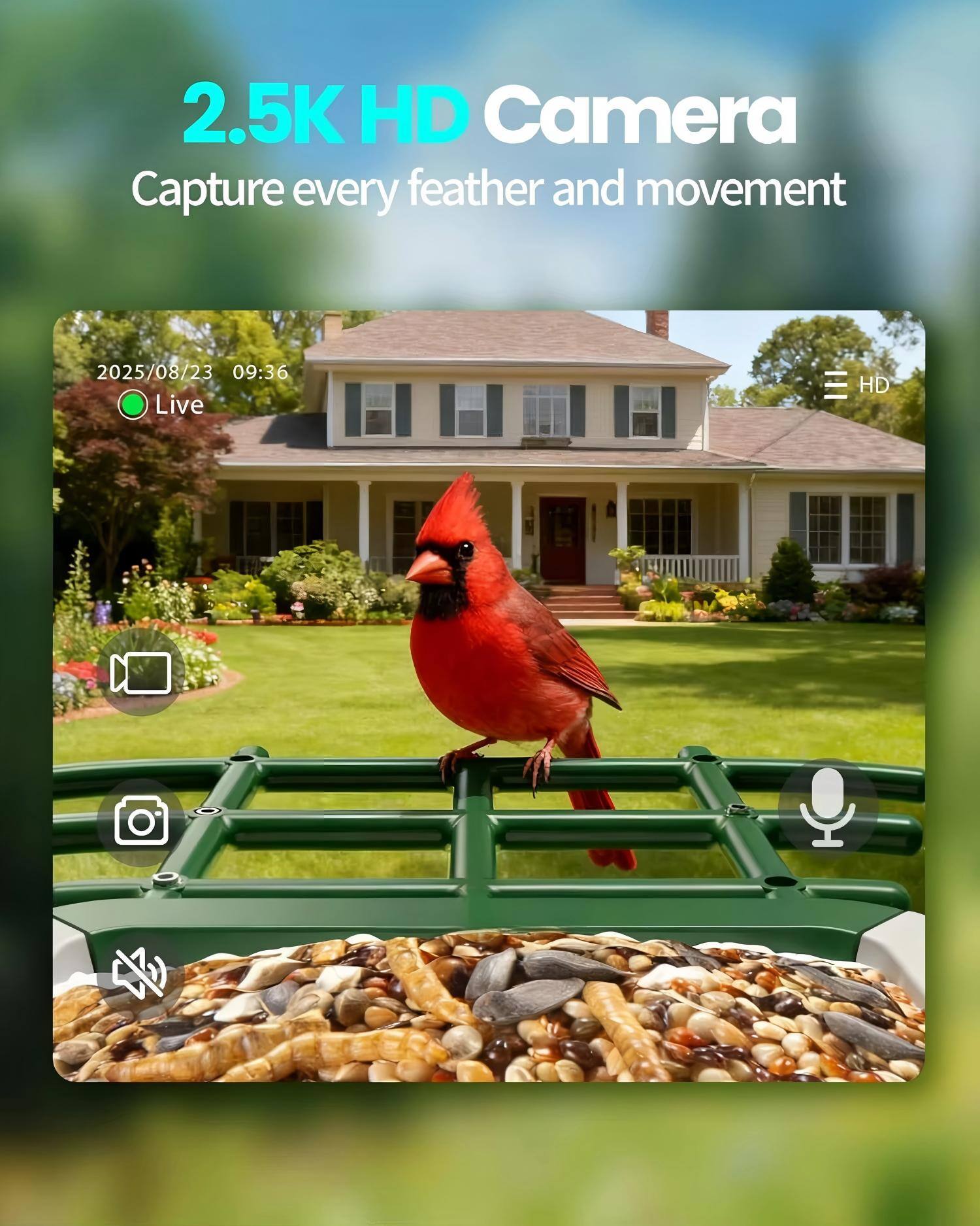 2.5K HD Camera  
Capture every feather and movement  

2025/08/23 09:36 Live HD
